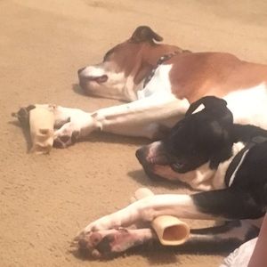 Meet your Posher, Judith